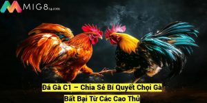 Da Ga C1 – Chia Se Bi Quyet Choi Ga Bat Bai Tu Cac Cao Thu fotor 20241209204050