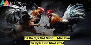 Da Ga Cua Sat MIG8 – Mon Giai Tri Kich Tinh Nhat 2024 fotor 20241209193310