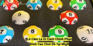 Lo Cam La Gi Cach Chinh Phuc Dinh Cao Choi De Tai Mig8 fotor 20241209204022
