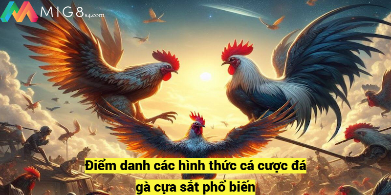 Đá Gà Cựa Sắt Mig8 – Sân Chơi Cá Cược Ăn Khách Nhất Điểm danh các hình thức cá cược đá gà cựa sắt phổ biến