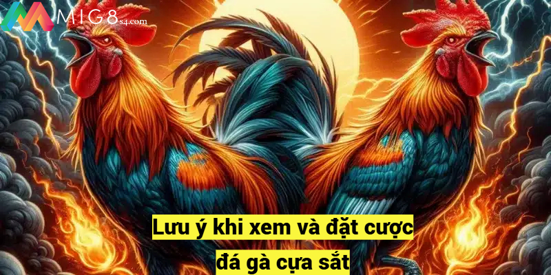 Luật Đá Gà Cựa Sắt Mig8 Với Các Quy Định Cơ Bản Cần Biết Lưu ý khi xem và đặt cược đá gà cựa sắt