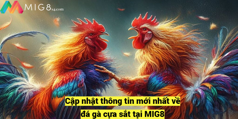 Đá Gà Cựa Sắt Mig8 – Sân Chơi Cá Cược Ăn Khách Nhất Cập nhật thông tin mới nhất về đá gà cựa sắt tại MIG8